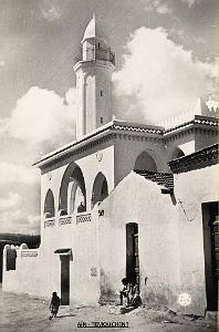 AIN TEMOUCHENT 049